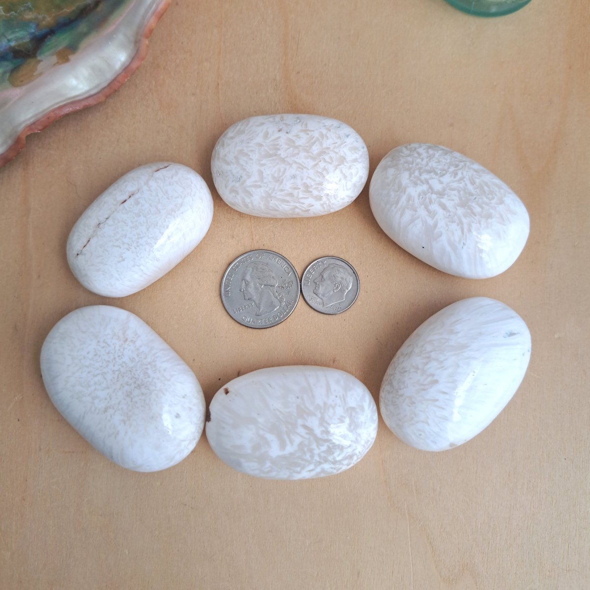 CrystalsMyst's tweet photo. Beautiful bright white #Scolecite Palm Stone Crystals for Intuition, Cleansing, Dreams and the Third-Eye Chakra 

#gemstones #crystals #minerals #healing #gifts #forsale 

You Choose ~ https://t.co/8KyJ9oHSmr via @Etsy https://t.co/ZsqiC26Xbt