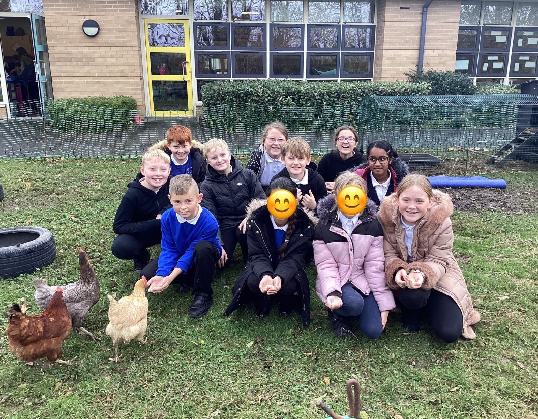 Chicken Club!

This term, we have started chicken club!  They have daily responsibilities such as: egg collecting and labelling, changing water and food, clearing out waste and observing the physical health of the hens. 
<a href="/RedhillTrust/">Redhill Academy Trust</a>