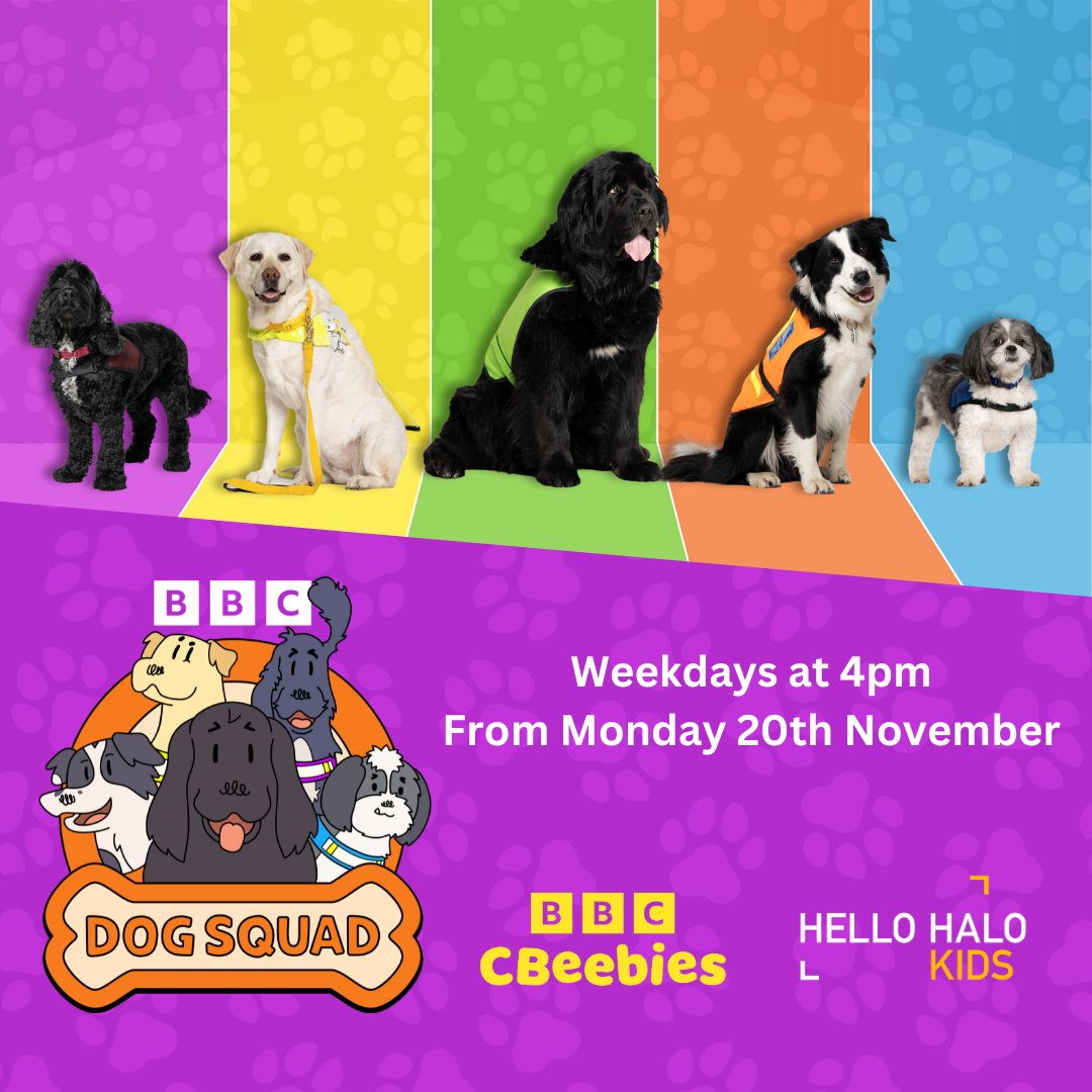 Bow-wow-WOW! Everyone’s favourite super-doggy heroes are back for more exciting dog missions in series two of Dog Squad on @CBeebieshq weekdays from 20th November at 4pm. You can catch up on our Pups in Training special on BBC iPlayer too. 
#dogsquad #cbeebies #dog #assistancedog
