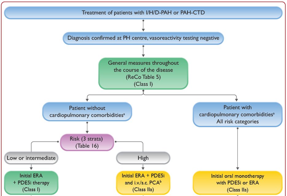 Pulmmed_CE's tweet photo. 37) Let’s wrap up and see what the #ESC/#ERS GL say about the NO-#PDE5i-#sGC pathway…here is the “strategic” treatment algorithm. Evidence has been shown for #iPAH, #hPAH and #PAH associated with drugs/toxins and #CTD. https://t.co/L8D5t4irQy