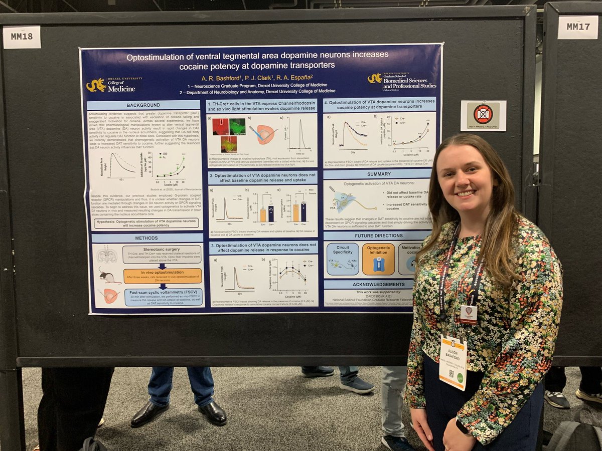 Alison Bashford (@arbashford) on Twitter photo Had a really fun time presenting my poster <a href="/SfNtweets/">Society for Neuroscience (SfN)</a>! I got to meet so many new people who were really interested in my work. I was especially grateful to those who stuck around and chatted with me to brainstorm a bit! #SfN2023 Had a really fun time presenting my poster <a href="/SfNtweets/">Society for Neuroscience (SfN)</a>! I got to meet so many new people who were really interested in my work. I was especially grateful to those who stuck around and chatted with me to brainstorm a bit! #SfN2023