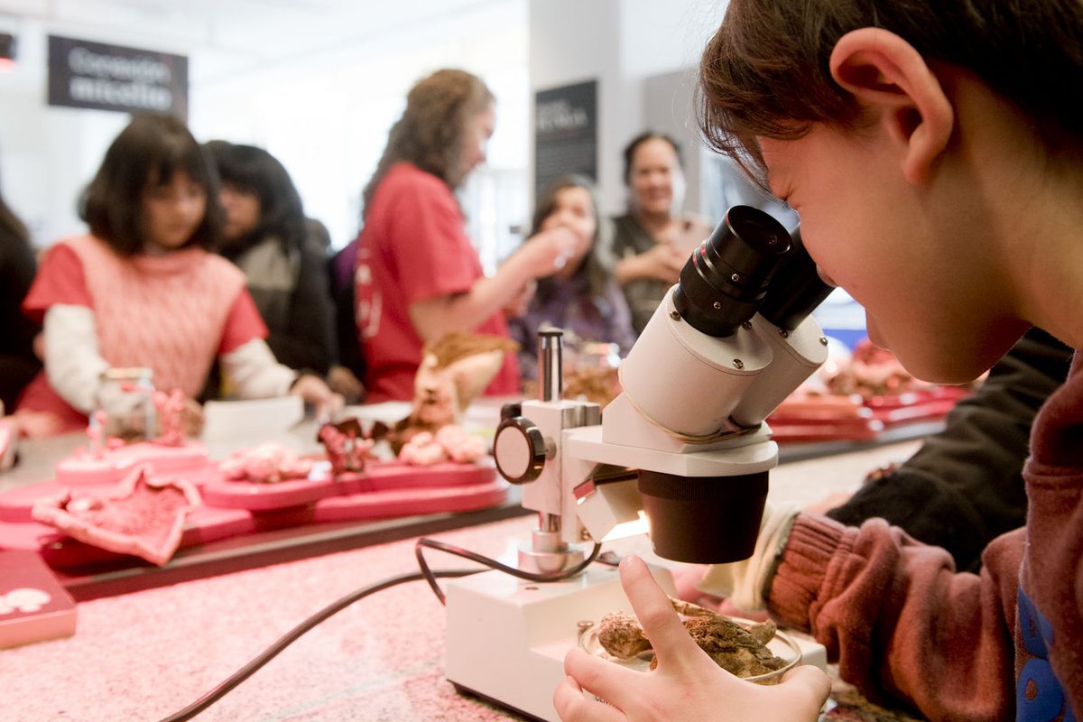 ccdelaciencia's tweet photo. 🍄¿Conocés la muestra #MundoFunga?
Vení a conocer cómo los hongos, diminutos o gigantes, son imprescindibles para comunicar los ecosistemas entre sí y mantener la vida en la Tierra desde hace 3500 millones de años. Entrada libre. Abrimos de viernes a domingos de 12 a 19h. https://t.co/5kUd23eJ4k