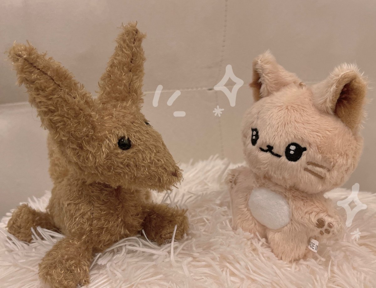 sasami_1995's tweet photo. 出会った🌼
@youngwoni_ https://t.co/0pfDstyeBD