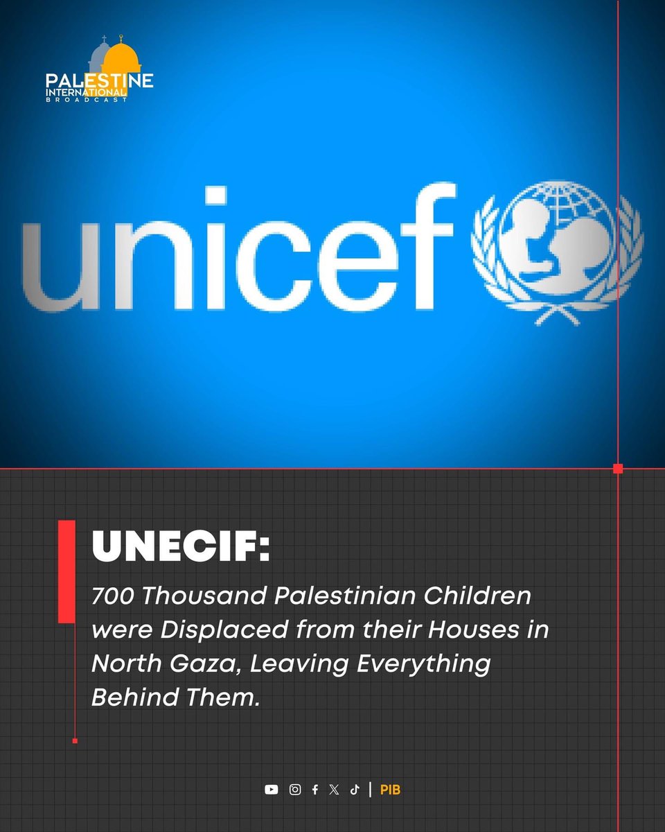 UNECIF: 700 Thousand Palestinian Children were Displaced from their Houses in North Gaza, Leaving Everything Behind Them.
#UNICEF #GazaGenocide #ceasefireInGazaNOW #ChildrenLivesMatter #palestinelivesmatter