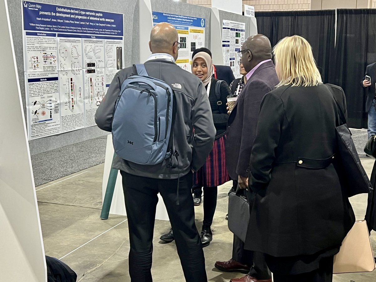 Dr_A_cubed's tweet image. Amazing session #AHA23 where we presented our work on C-type natriuretic peptide #CNP in aortic aneurysm #AAA @ProfHobbsLab @TheBHF @QMULWHRI 
@drjanicetsui @alan_daugherty 
@AHAScience @atvbahajournals