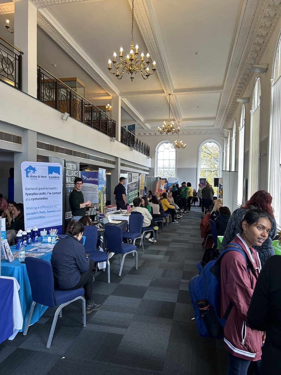 bronwen williams tweet media