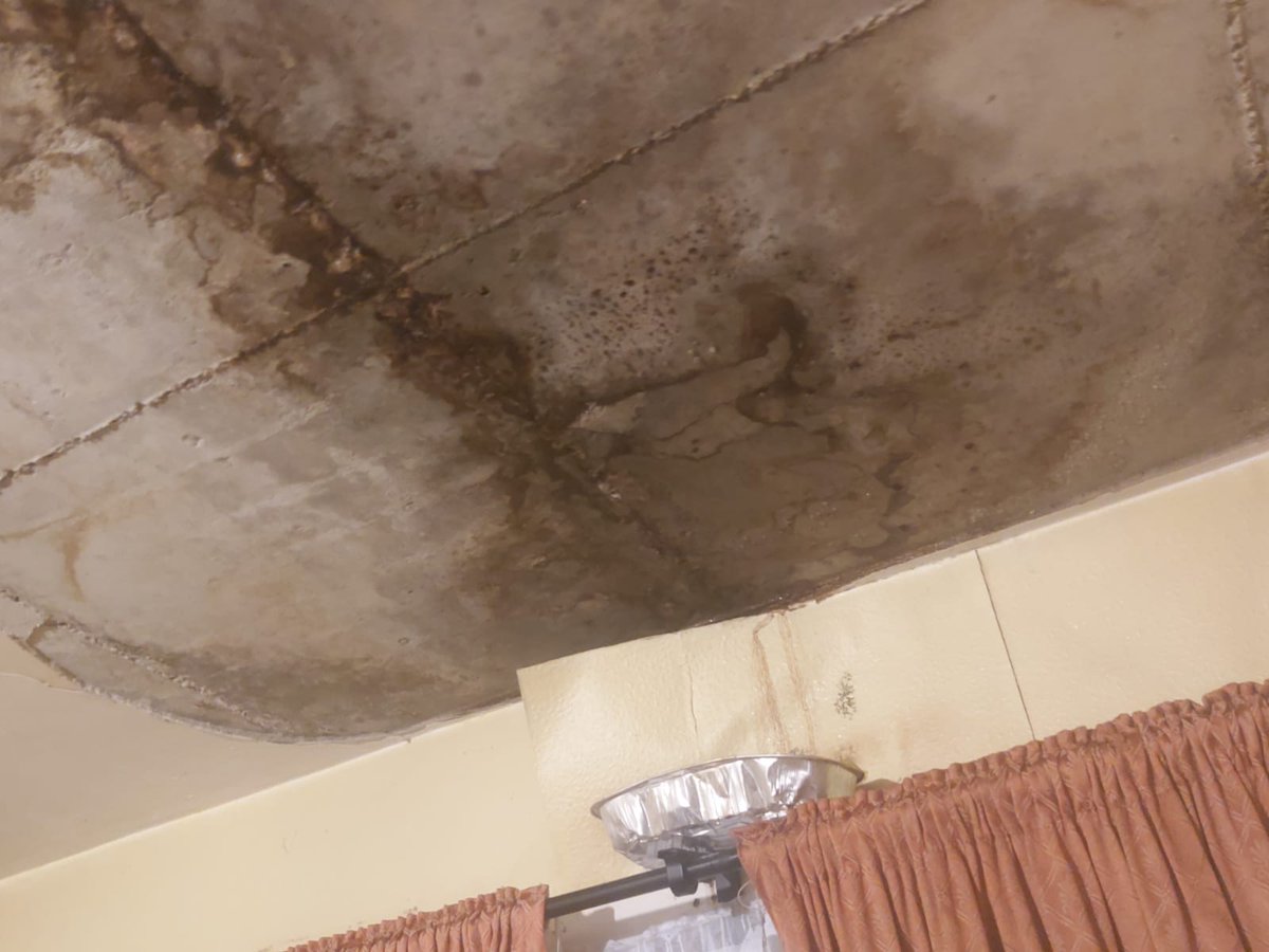 guinnessnotrust's tweet photo. Residents at Iveagh House facing issues with leaks in their home for over 3 years. Conditions are so bad ceilings have caved in. This resident can not use their kitchen to cook a meal, due to the water damage and electrical/safety hazard
#wouldyoulivehere #theguinnesspartnership https://t.co/hST1owoZLd