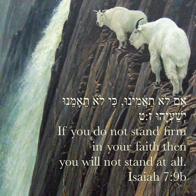 1TruthAndGrace's tweet photo. #TuesdayMotivation
#Isaiah7:b
Yeshayahu 7:9b https://t.co/nEvqQ7ak0S