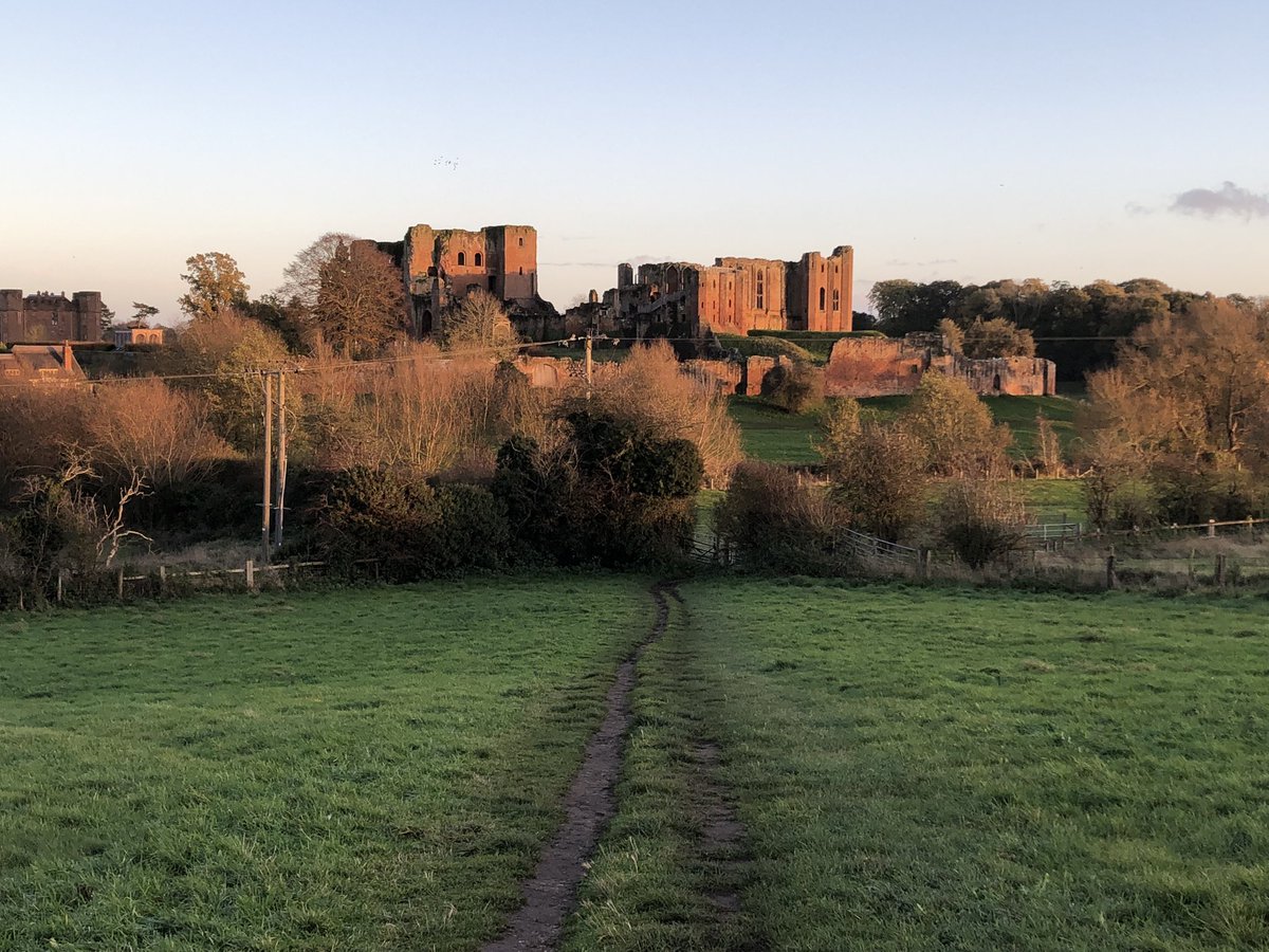 Steven Falk tweet media