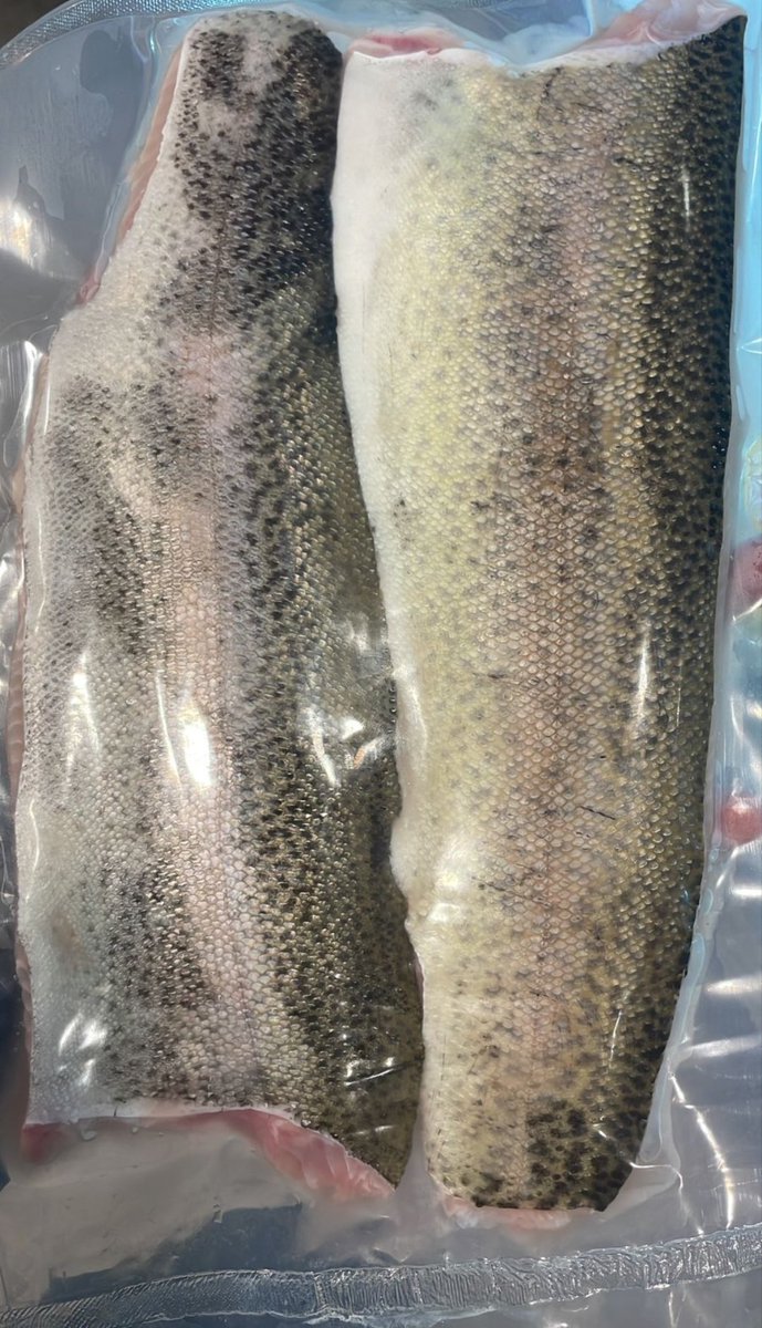 iamjanoti's tweet photo. Nicely vacuum packed and frozen Rainbow trout boneless fillets with Skin. Another intiative to promote trout in India 

 @FisheriesGoI @MPEDACOCHIN @fishcopfed @nfdbindia @ICARDCFR @PRupala @pushkardhami @icarcift @FisheriesJK @FisheriesDoon @Uttarakhandcoo1 https://t.co/1nc8y4EUMD