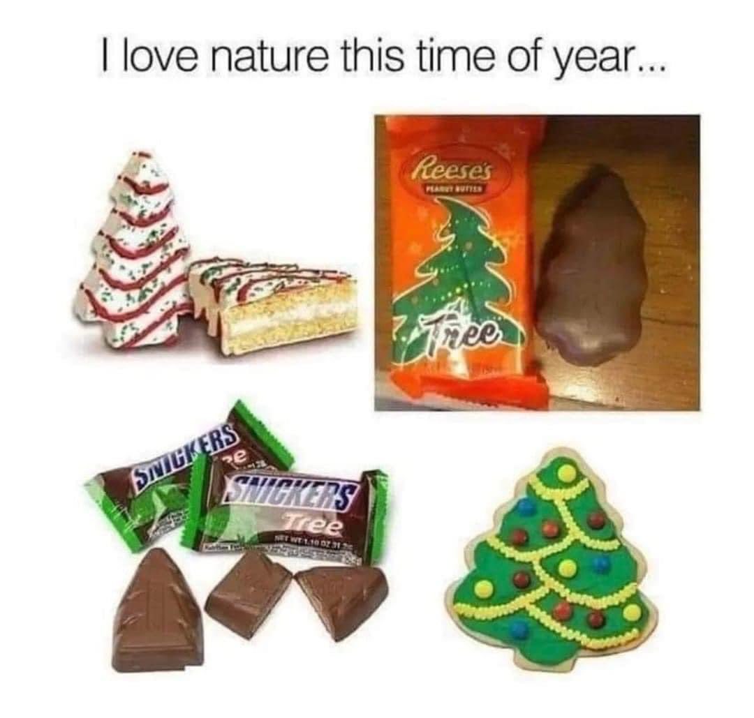 FACT! 🎄🤣🎅🏼🤣🎄🤣🎅🏼🤣

#Tuesday #tuesdayvibe #tuesdayfunny #TuesdayFeeling #TuesdayMotivaton #christmas #christmas2023 #christmascountdown #christmasbaking #nature #junkfood