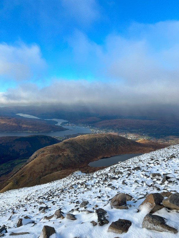 Greens Consultancy tweet media