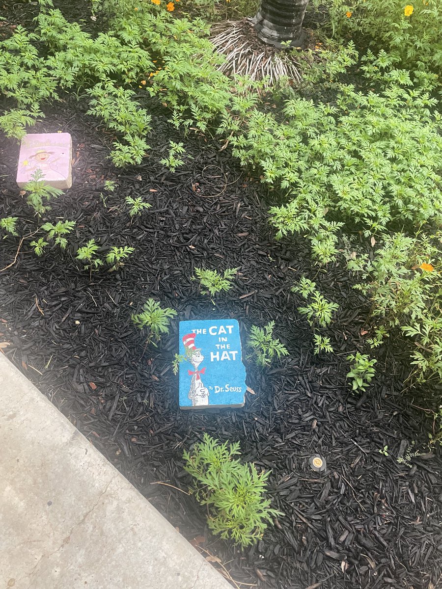 Gonzalo Salazar (@gsalazarlfcisd) on Twitter photo Gotta love <a href="/LosFresnosCISD/">Los Fresnos CISD</a> even in the flowerbeds, we celebrate literacy. Gotta love <a href="/LosFresnosCISD/">Los Fresnos CISD</a> even in the flowerbeds, we celebrate literacy.