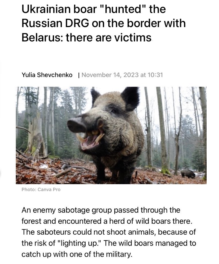 saintjavelin's tweet photo. Even nature is on Ukraine’s side. https://t.co/qcn4nQo7L3