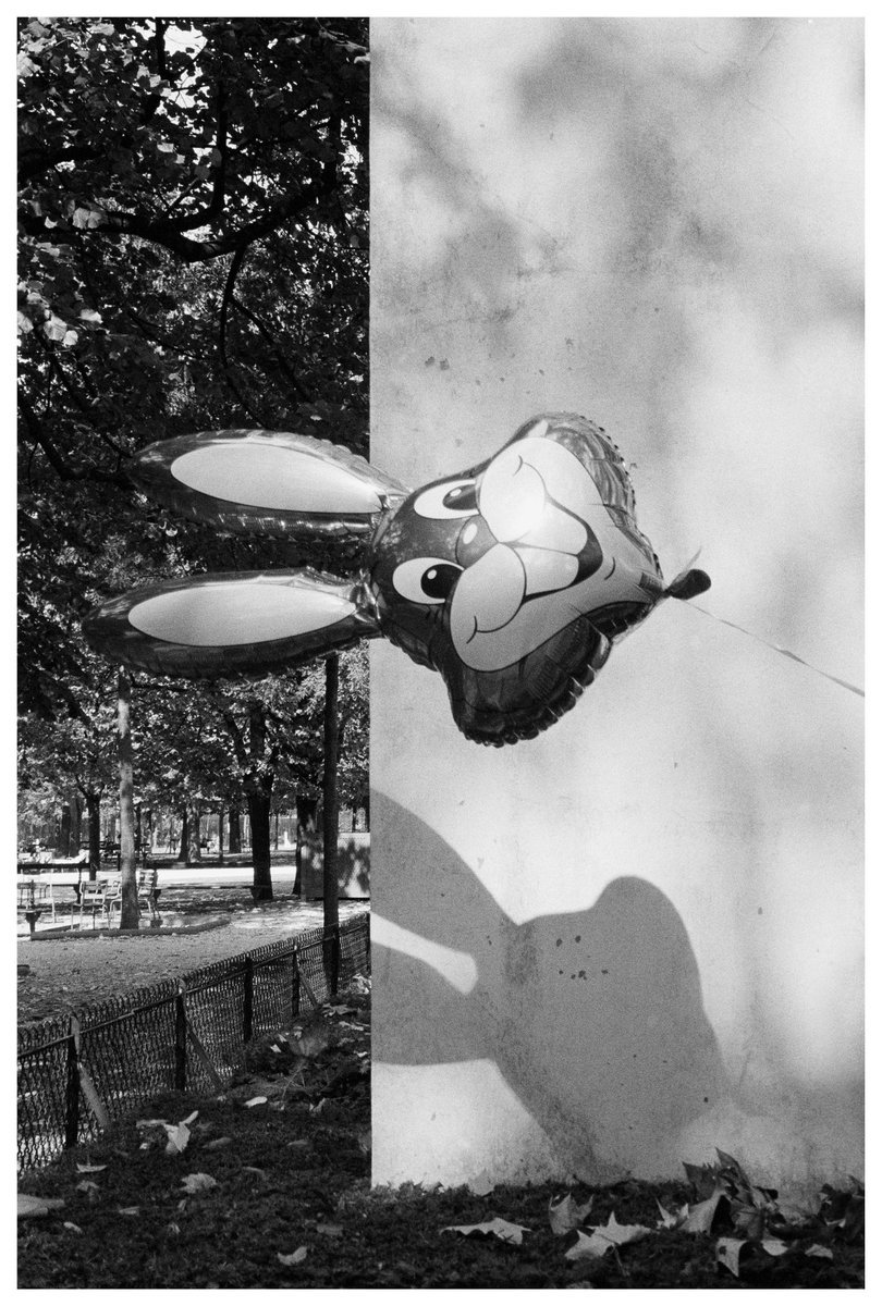 Première fois que je dev et scanne moi même 🥹