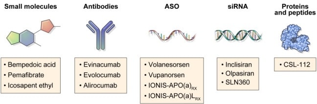 The Heart tweet media