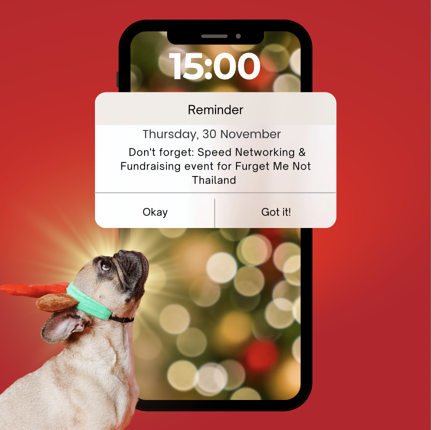 📅 November 30th is a date to remember! Join us for Speed Networking and Fundraising in support of "Furget Me Not Thailand" dog shelter. Make connections and contribute to a great cause. 

Book your seat today : eventpop.me/e/16606?aff=Li…

#SpeedNetworking #DogRescue #FurgetMeNot