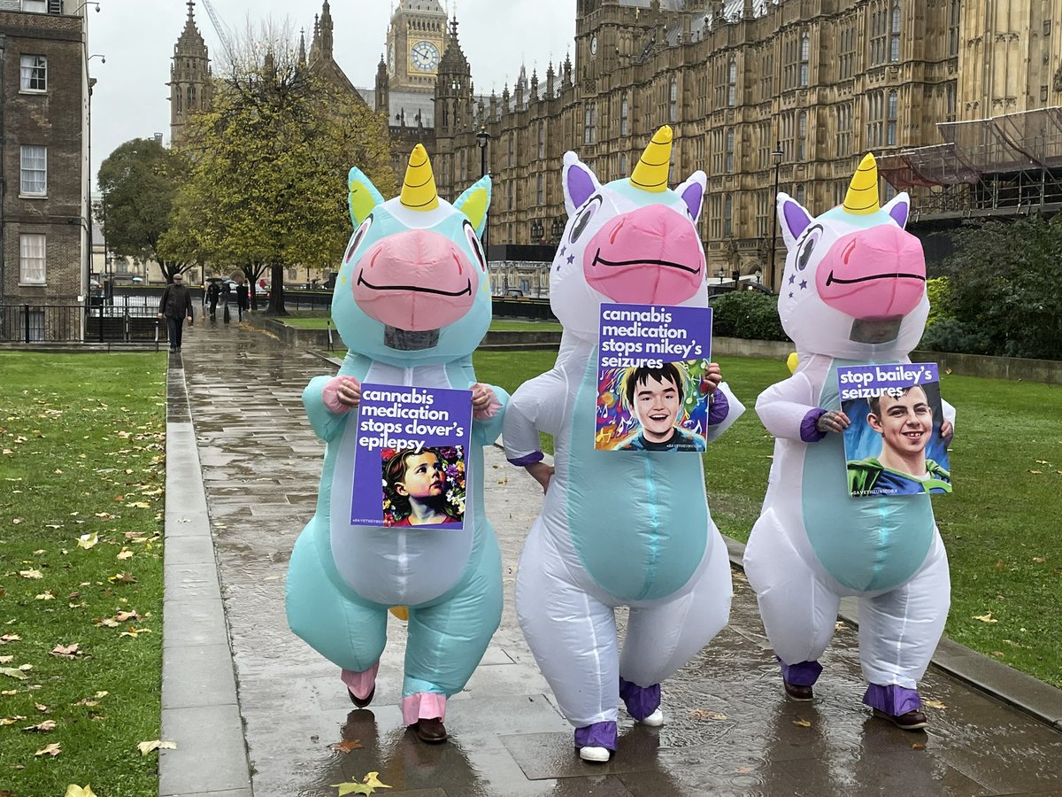 Great turnout for <a href="/MedcanFamily/">MedCan Family Foundation</a> #SavetheUnicorn event today in Westminster.

Fantastic campaign seeking improved NHS medical cannabis access for children with epilepsy