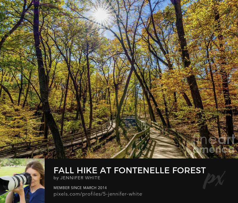 TMomPhotography's tweet photo. A beautiful fall season hike through Fontenelle Forest in Bellevue, Nebraska near Omaha.
@FineArtAmerica - https://t.co/fZerRfVp7S
Pictorem - https://t.co/0qFEwqyAsl
#buyintoart #fallhike #photography #interiordesign #largeart #officeart https://t.co/nuujZEjcWr