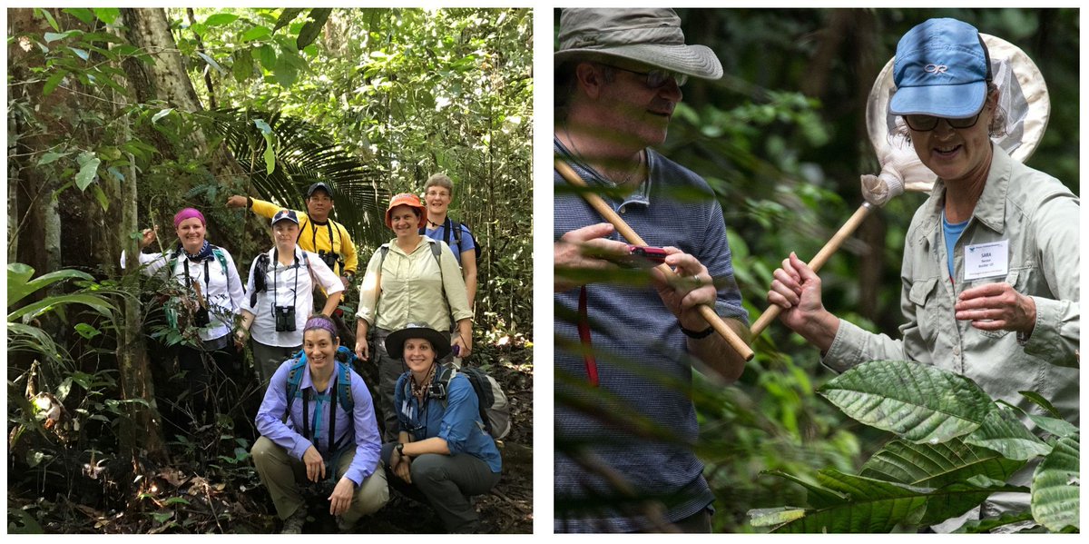 The @MorphoInstitute has two new scholarship opportunities for K-12 science educators in the Amazon rainforest! Scholarships range from $1,000-$2,500, deadline to apply is 12/1: buff.ly/49m7Dca