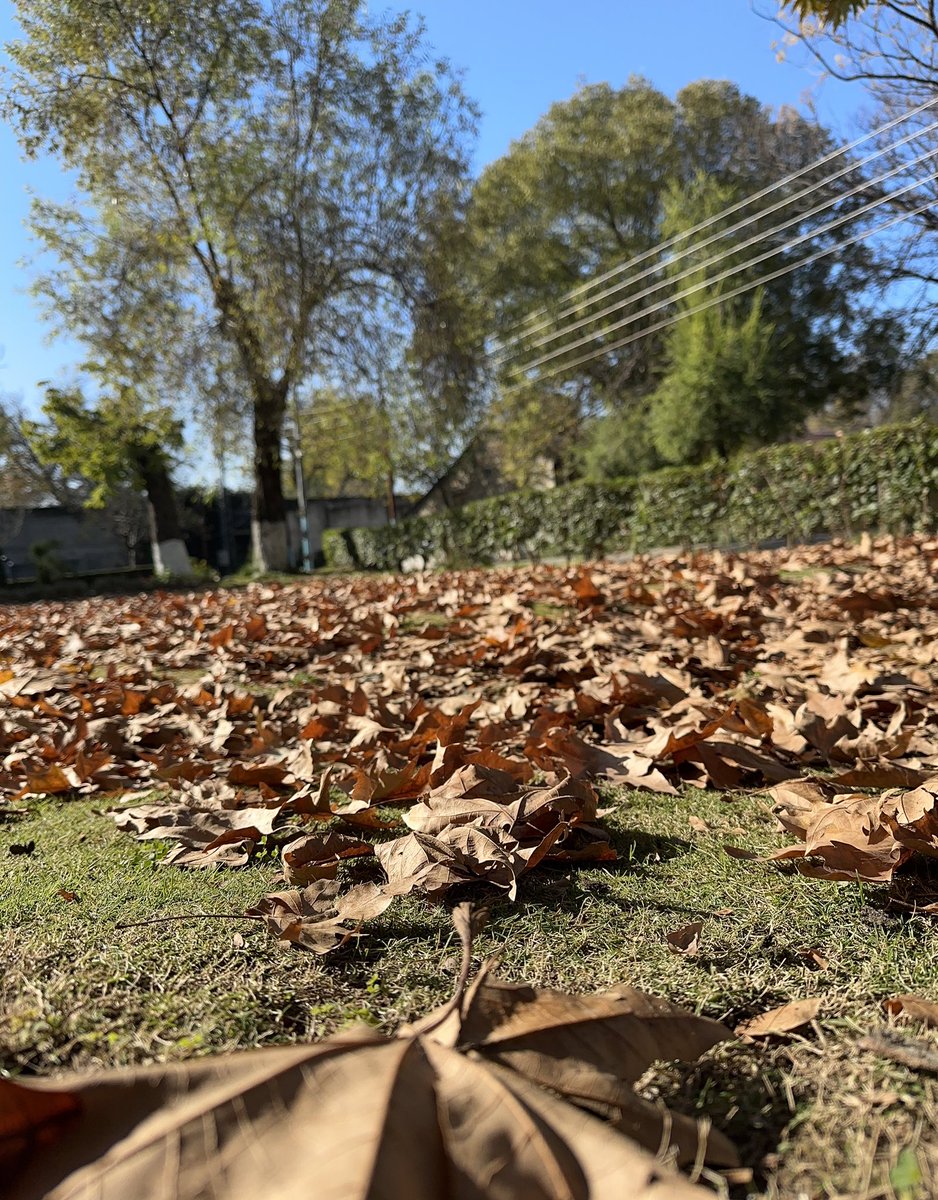 Chinar road
#BigBoss #Shakespeare #Salaar #Autumn #AutumnBeauty #autumnfall #AutumnPhotography #AutumnVibes #BigBoss17 #BTS #FreePalaestine