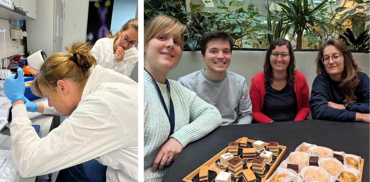 VIB Single Cell Core (@vibsinglecell) on Twitter photo Milestone Alert🔔 Today marks the 500th experiment at our Single Cell Core since our launch on 1/1/22. Each cell holds a story, and today Melanie is the storyteller! 🏆🎂 Here's to the researchers, the cells, and the endless possibilities ahead! <a href="/RademakersRosa/">RosaRademakersLab</a> <a href="/VIBtechnologies/">VIB Technologies</a> Milestone Alert🔔 Today marks the 500th experiment at our Single Cell Core since our launch on 1/1/22. Each cell holds a story, and today Melanie is the storyteller! 🏆🎂 Here's to the researchers, the cells, and the endless possibilities ahead! <a href="/RademakersRosa/">RosaRademakersLab</a> <a href="/VIBtechnologies/">VIB Technologies</a>
