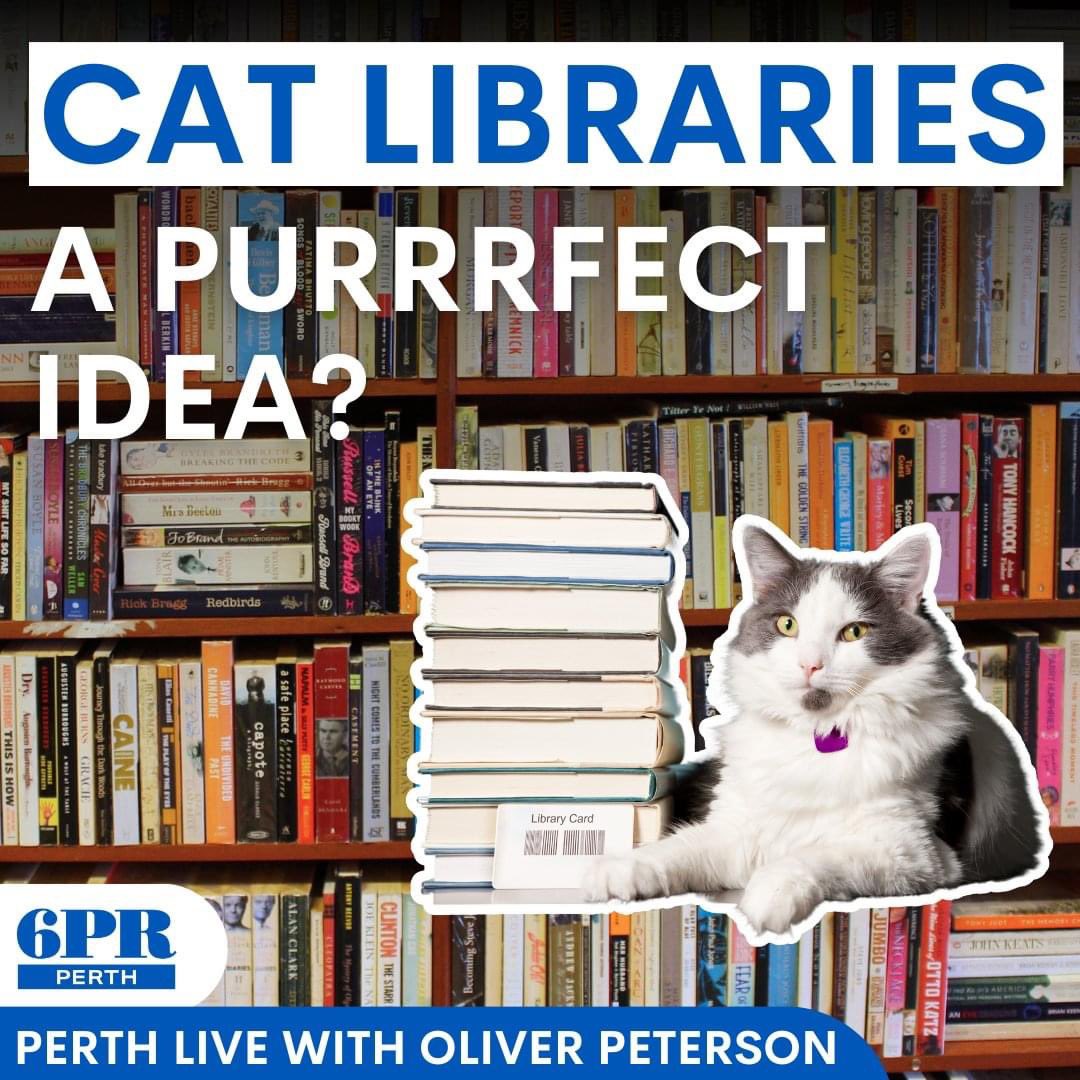 A Joondalup councillor wants to add cats to an area of the local library so they can interact freely with visitors. DETAILS: 📱 nine.social/r2l