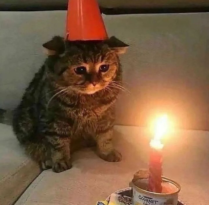 abdurrahimden's tweet photo. My birthday ... https://t.co/RUMHTNoOSy