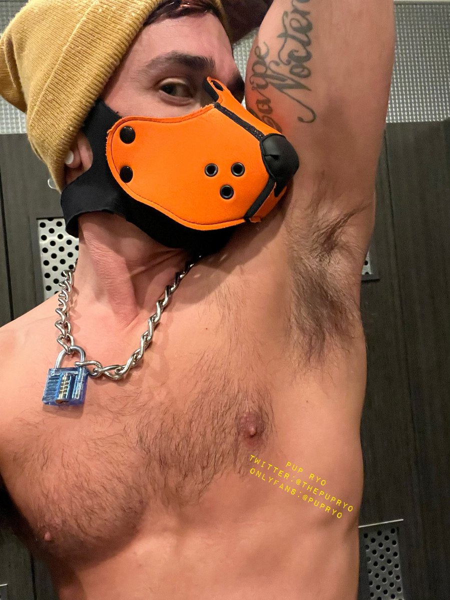 ThePupRyo's tweet photo. Did someone order musky pup gym pit? If so, your order is up. #pupplay #musclepup https://t.co/ed8lejuU6n