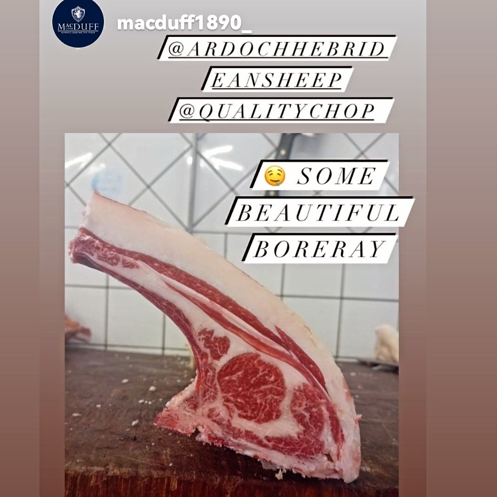 Ardochhebrideansheep (@ardochhebridea1) on Twitter photo Some fantastic #boreraysheep away to a great restaurant <a href="/QualityChop/">Quality Chop House</a> in conjunction with <a href="/MacDuff1890/">AndrewDuff88</a> #marbling #marbledmeat Some fantastic #boreraysheep away to a great restaurant <a href="/QualityChop/">Quality Chop House</a> in conjunction with <a href="/MacDuff1890/">AndrewDuff88</a> #marbling #marbledmeat