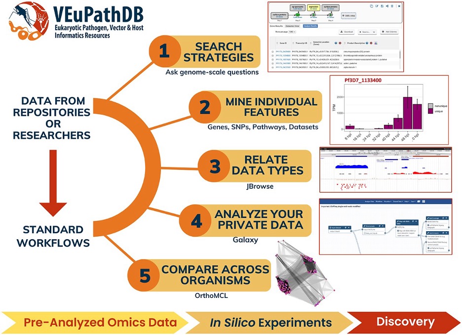 Check out our update paper on VEuPathDB resources just out in the #nardatabase @NAR_Open 🔗doi.org/10.1093/nar/gk…