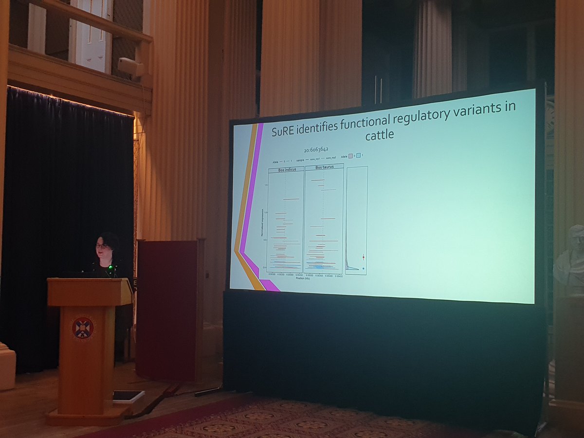 One Health Genomics Edinburgh (@genomicsedi) on Twitter photo Rachel Owen <a href="/ROwen_93/">Dr. Rachel Owen</a> <a href="/roslininstitute/">The Roslin Institute</a> presenting at the #ENGoGS23 on improving livestock production and health thought high-throughput identification of functional regulatory variation Rachel Owen <a href="/ROwen_93/">Dr. Rachel Owen</a> <a href="/roslininstitute/">The Roslin Institute</a> presenting at the #ENGoGS23 on improving livestock production and health thought high-throughput identification of functional regulatory variation