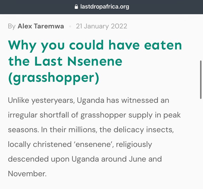 Uncle @ATaremwa wrote this piece last year, and I almost beat the crap outta him. But here we are… low-budget Elvis Mbonye was right. 

Read more: lastdropafrica.org/articles/why-y…