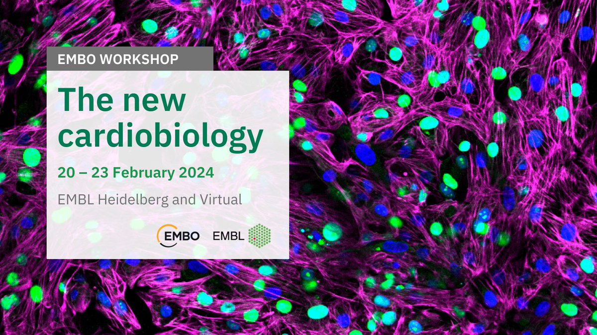 📢 Abstract submission deadline approaching for #EMBOCardioBiology.
Join the EMBO Workshop 'The new cardiobiology' and deepen your understanding of the causes and early development of cardiovascular disease 🫀

📩 Submit abstract by 28 November!
➡️ s.embl.org/ncb24-01