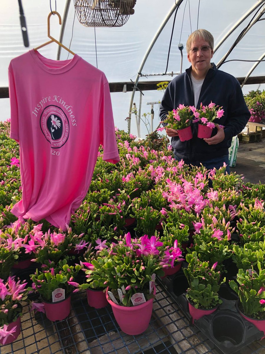It's time to order your Colleen Ritzer Pink Christmas Cactus! These are grown by Colleen's family &amp; friends and make a perfect gift. Order at bit.ly/crcactus and pick up at Konjoian's Greenhouses &amp; Landscape Solutions. Proceeds benefit the Colleen E. Ritzer Memorial Fund.