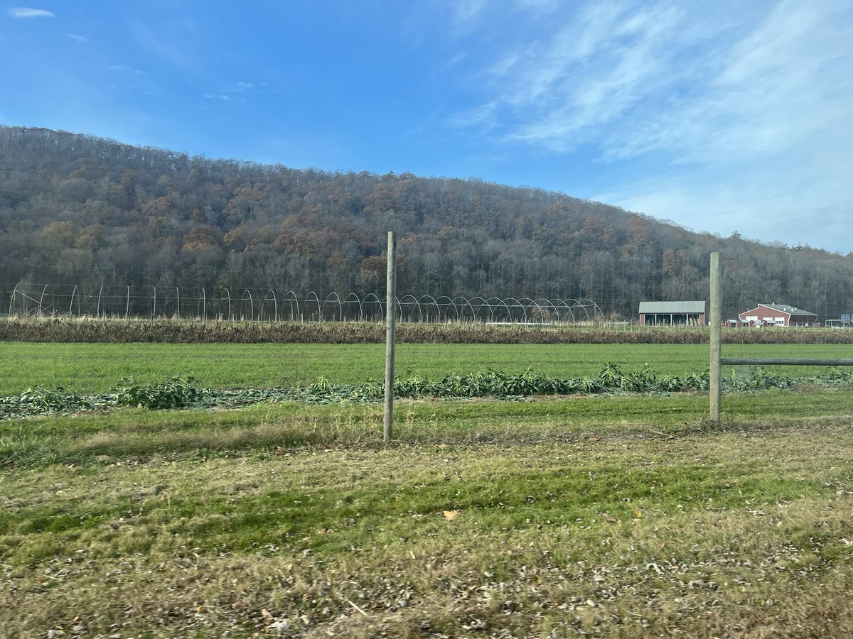 kellyannwx's tweet photo. Spent some time on the farm with @tedcooper yesterday working on a #ForecastingOurFuture story about New England agriculture. I may have had an apple or two… couldn’t resist! @UMassExt #TougasFamilyFarm #wcvb #HowBoutThemApples 🍎 🍑 🥦 🍓 https://t.co/7aQoUJt3rT