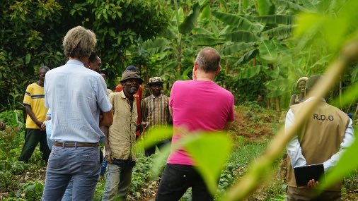 realms2020's tweet photo. REALMS project welcomed visitors from @IKEAFoundation &amp; SNV to Ngororero &amp; Rubavu districts,Rwanda, to witness the power of Farmer Field Schools at work. Farmer Field Schools create hands-on training opportunities for farmers to share &amp; learn Regenerative Agriculture techniques. https://t.co/SpKMKCqqlS
