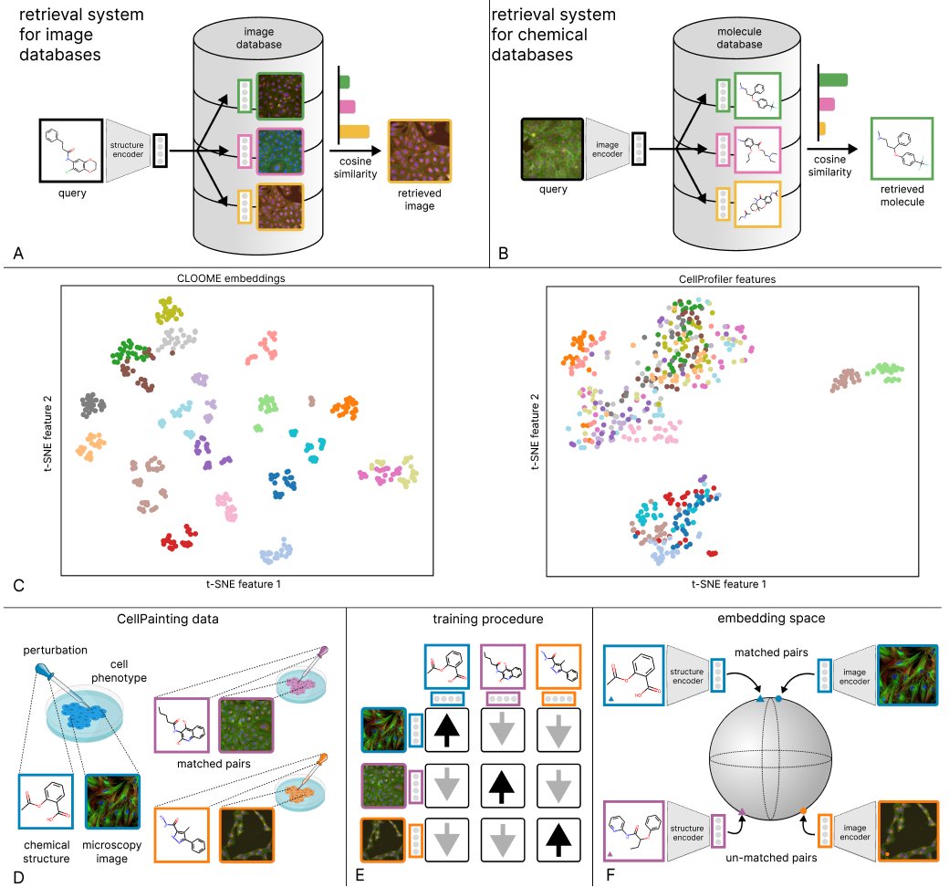 Ana Sanchez-Fernandez (@ana_sanchezf) on Twitter photo Very excited to share that our work, CLOOME, has been now published in <a href="/NatureComms/">Nature Communications</a>!
CLOOME introduces chemical structure querying for bioimaging databases.
🧵 Very excited to share that our work, CLOOME, has been now published in <a href="/NatureComms/">Nature Communications</a>!
CLOOME introduces chemical structure querying for bioimaging databases.
🧵