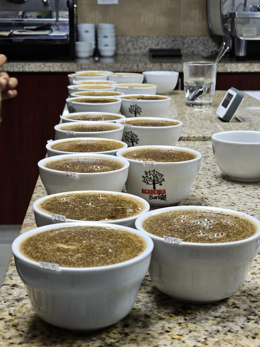 Julio Guevara (@julioguevarae) on Twitter photo Tons of cuppings, triangulations and excercises during my SCA Sensory Certification this week. Kudos to <a href="/AcademiaBarista/">Academia Barista Pro</a> for making this learning process a fun ride. Tons of cuppings, triangulations and excercises during my SCA Sensory Certification this week. Kudos to <a href="/AcademiaBarista/">Academia Barista Pro</a> for making this learning process a fun ride.
