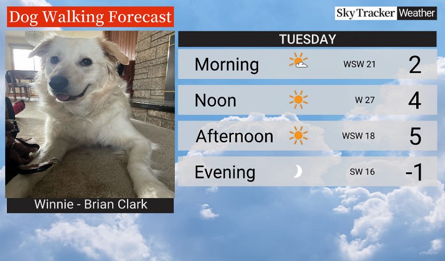 Good morning, #YQR! Sunny &amp; warmer days ahead. Winds at 20-30 km/h this a.m. with gusts of 35-50 km/h. Winds will relax slightly this p.m., which should make for some splendid dog walking conditions! I think Winnie's pretty stoked about the sunshine today! Sunny &amp; +5 for Regina.
