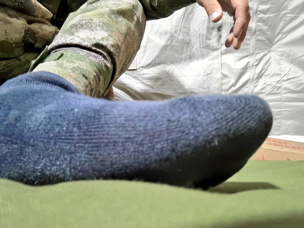 有没有小狗子