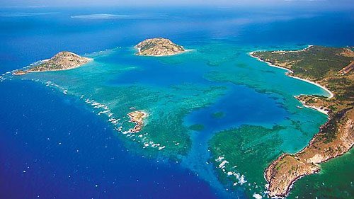 We are looking for someone to join us for fieldwork at Lizard Island! February-March 2024. There is a technicians salary but we want someone in Australia as our budget won’t cover international flights. Must have a lot of dive experience! Contact me if interested.