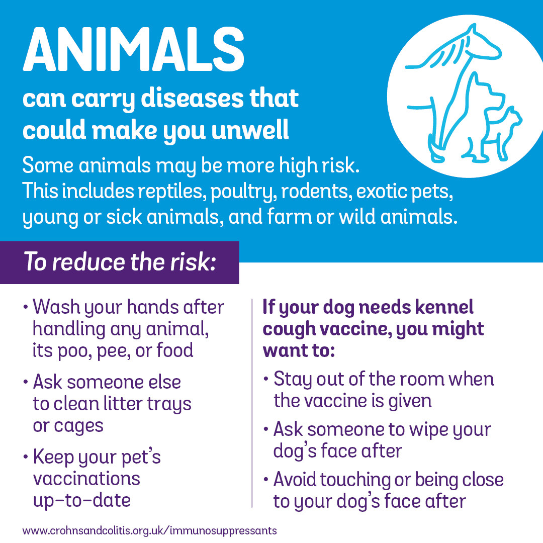 Immunosuppressants are useful treatments for Crohn's and Colitis. But they can weaken your immune system. So, you may be at increased risk of infections or some cancers. But this shouldn’t stop you from living life as before. Here are some things you can do to reduce your risk