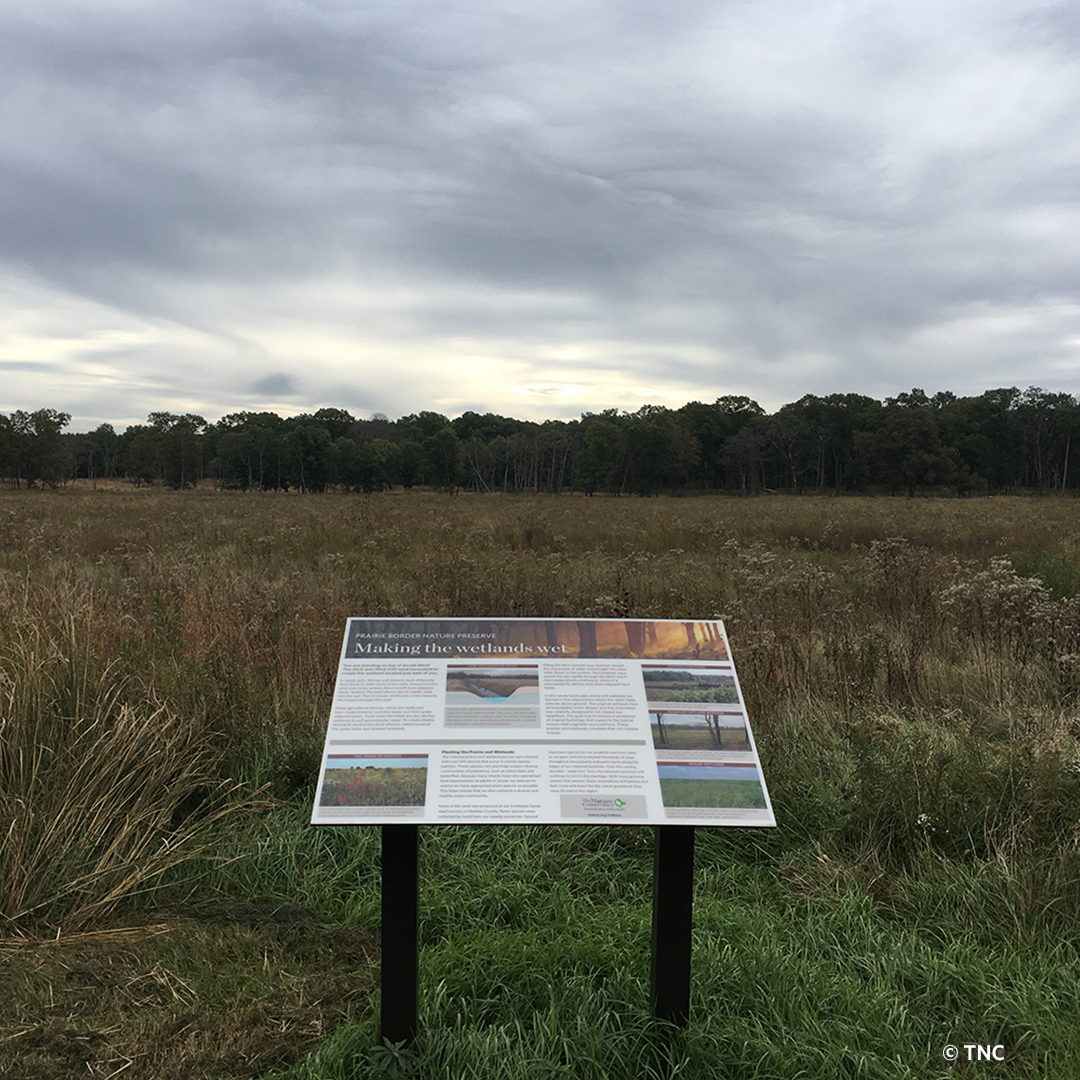For the safety of all, Prairie Border Nature Preserve in Jasper County will be closed this weekend (November 18-19) to avoid user conflict during the opening of deer hunting firearms season. The preserve will reopen November 20. Thank you for your cooperation.