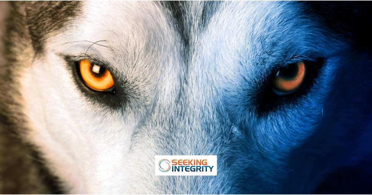 𝐂𝐡𝐚𝐬𝐢𝐧𝐠 𝐈𝐧𝐭𝐞𝐧𝐬𝐢𝐭𝐲: 𝐓𝐡𝐞 𝐍𝐞𝐞𝐝 𝐟𝐨𝐫 𝐒𝐭𝐢𝐦𝐮𝐥𝐚𝐭𝐢𝐨𝐧

Link: sexandrelationshiphealing.com/blog/chasing-i…

✅ Join our workgroups here:

seekingintegrity.com/workgroups-and… 

seekingintegrity.com/workgroups-and…

#seekingintegrity
#drugaddiction
#sexaddiction
#pornaddiction
#addiction
#betrayal