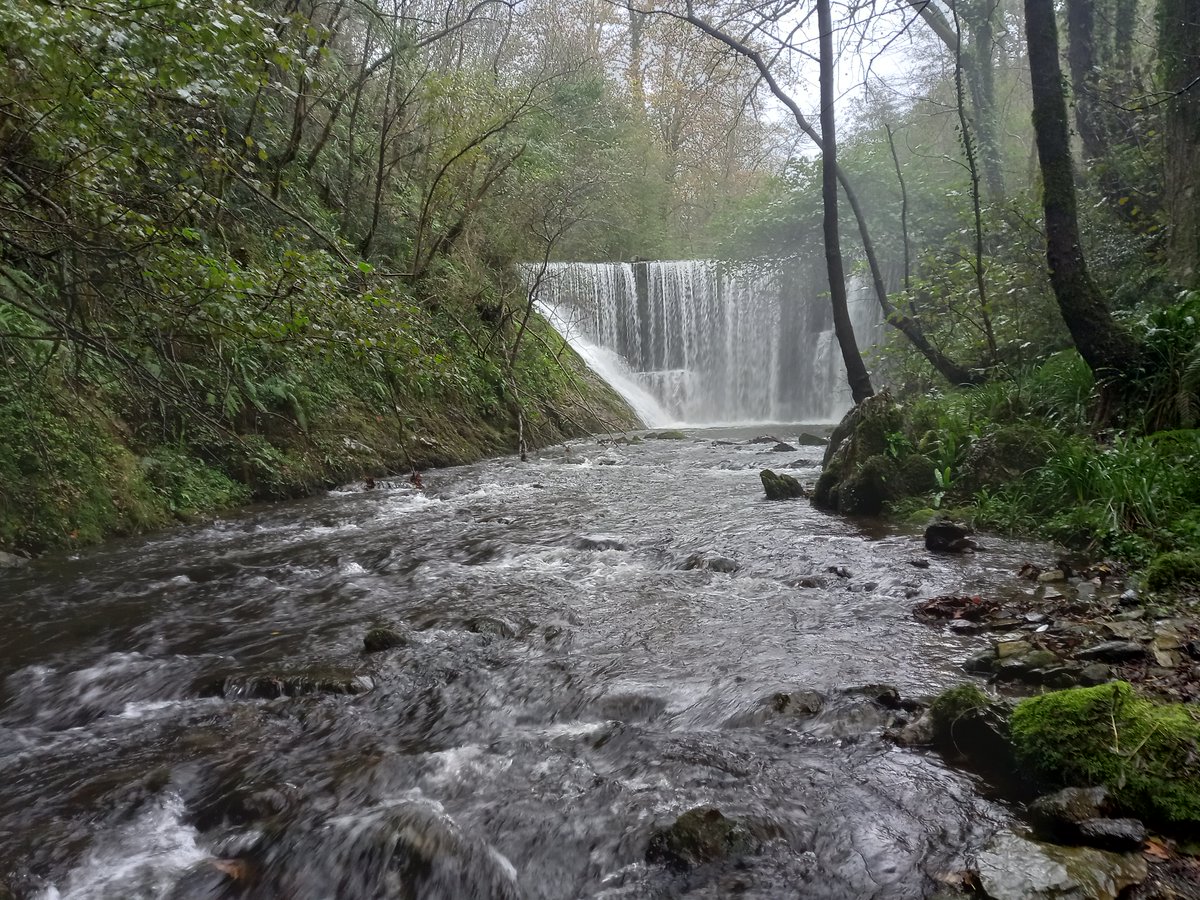 El proyecto #Kantauribai trata de eliminar o reducir los obstáculos que impiden el funcionamiento natural del río. También actúa en el control de especies invasoras, y contempla acciones de seguimiento y estudio de ecosistemas y especies. 
@GanNavarra