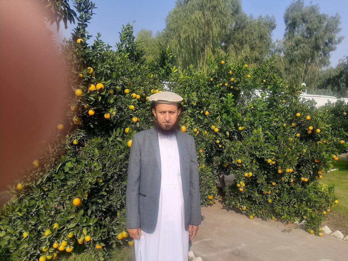 آج چودہ نومبرہےدارالعلوم خدام الدین  کاچمن پھولوں اورپھلوں سےسجاہواہے۔ قائدجمعیت امام انقلاب کی سیاست کو سلام جس نےہمیشہ جرات ودانشمندی کامظاہرکیاہے آج فلس طین کےساتھ شانہ بشانہ کھڑاہوناجرات وبہادری کاعظیم اظہار ہے اورپوری دنیاکےلیے مثال بھی۔ اللہ سلامت رکھے میرے قائد کو