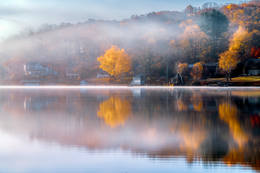 🌎 Foggy Autumn Morning 📸 Ariel L #travel #nature #photography $ratio #naturephotography