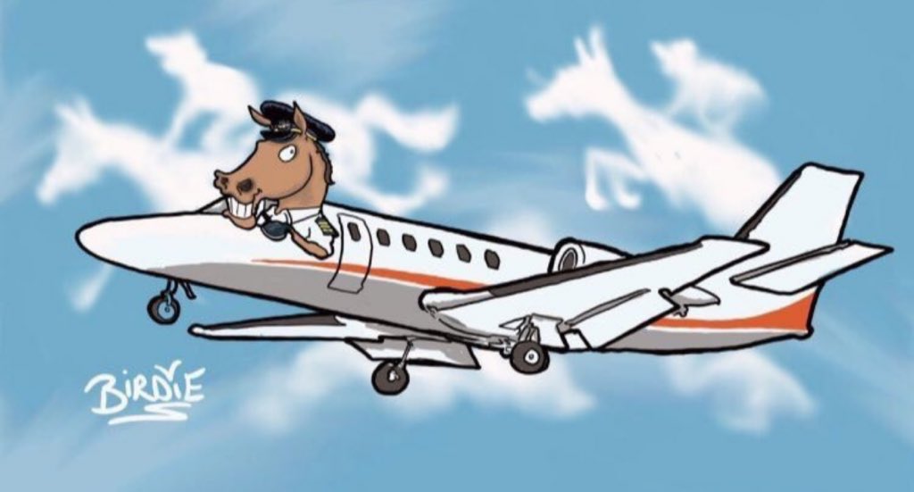 All eyes on Prestbury Park this week. Only a few days until the November meeting @CheltenhamRaces - Nov 17th to 19th. Fly into @GlosAirport with us. Just a short drive to the Racecourse. #cheltenhamraces #nhracing #Novembermeeting #Gloucestershireairport #artworkbydarrenbird