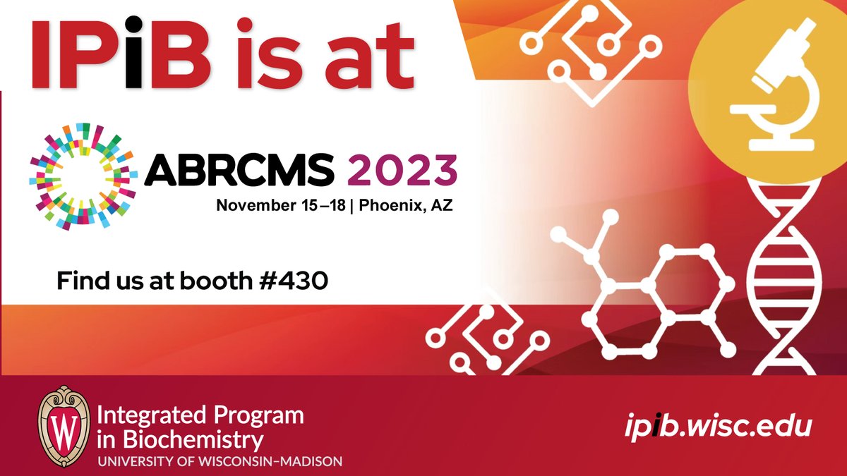 IPiB is #ABRCMS2023! Today through Saturday, IPiB students, professors and staff will be available @ABRCMS to answer your questions about the program and life in Madison. Find them at Booth #430! ipib.wisc.edu/meet-us-at-a-c…